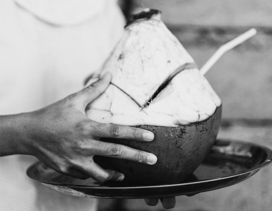 crazy for coconuts