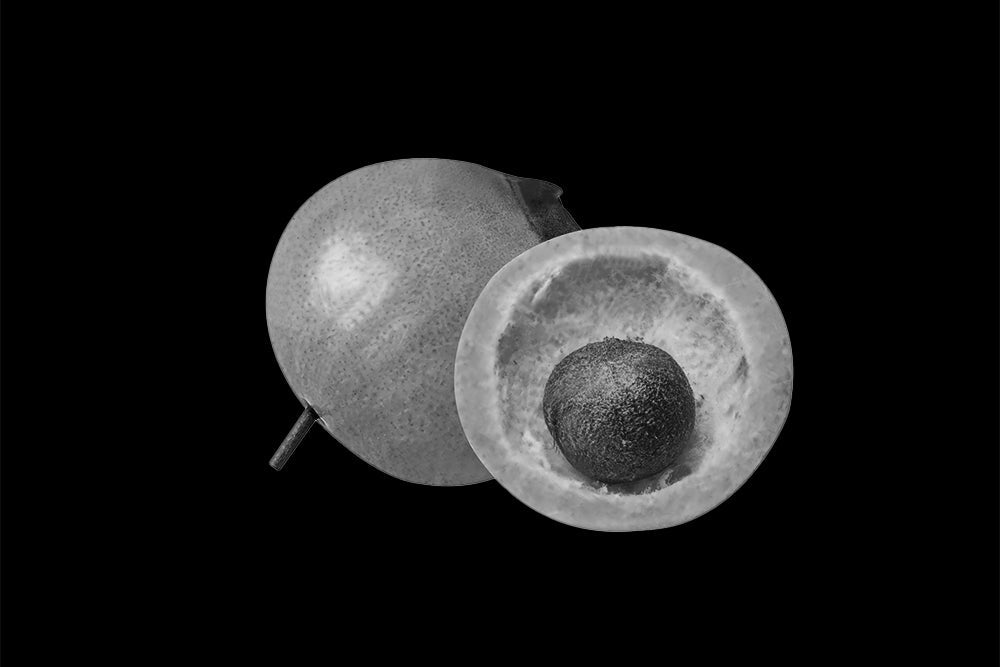 marula | marula oil for face | anokha