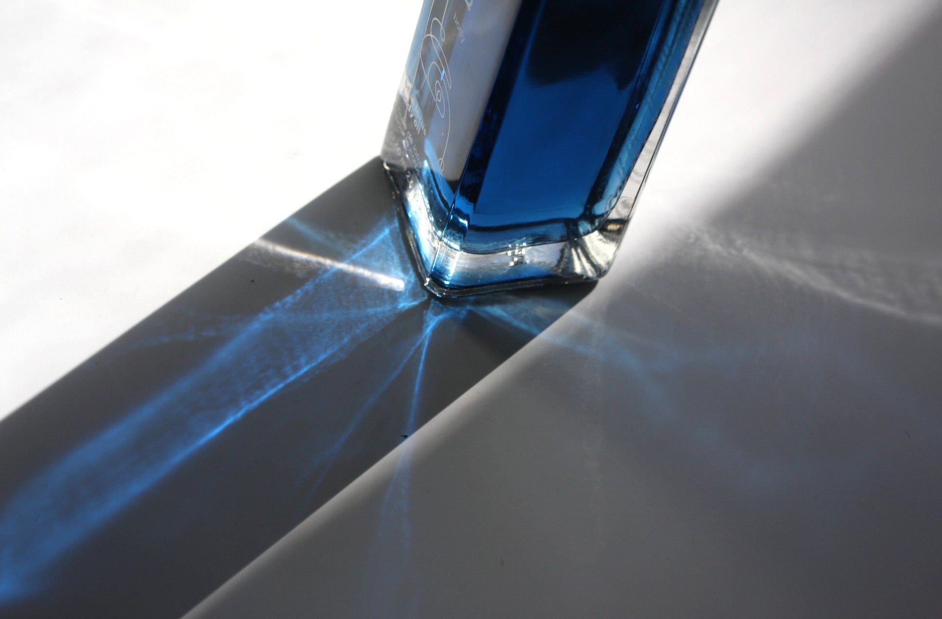 blue lotus body oil | anokha