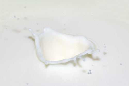 ingredient focus: milk